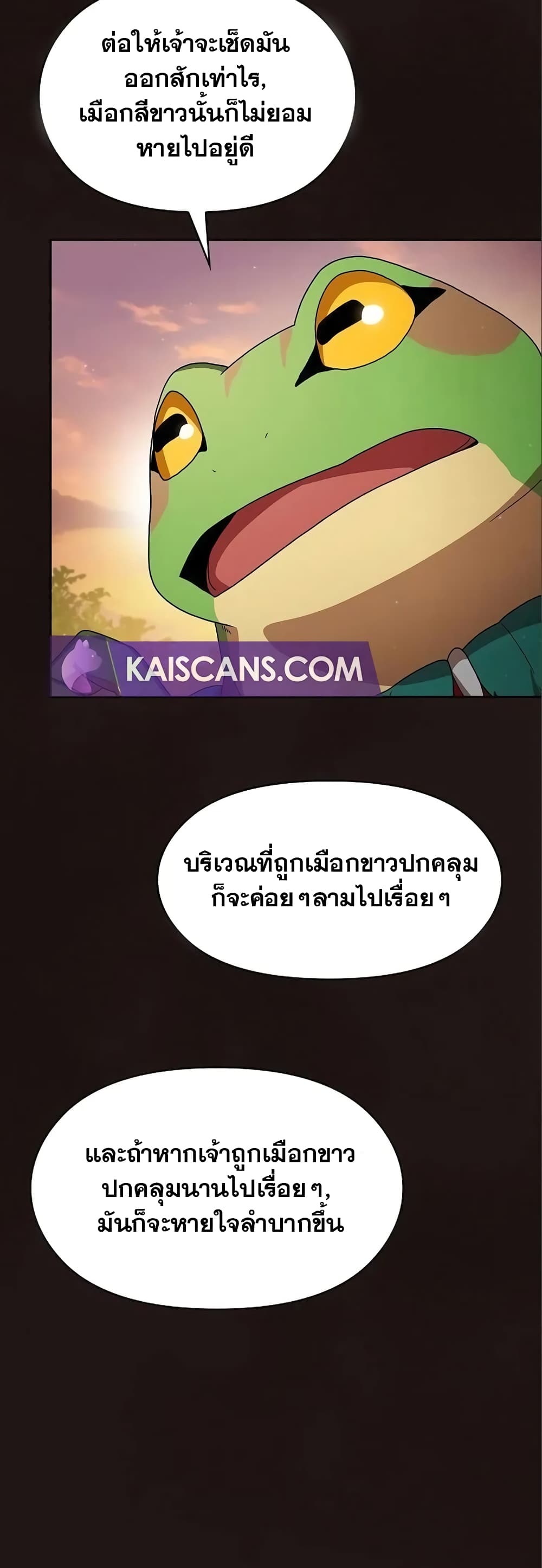 The Nebula’s Civilization ตอนที่ 17 (27)