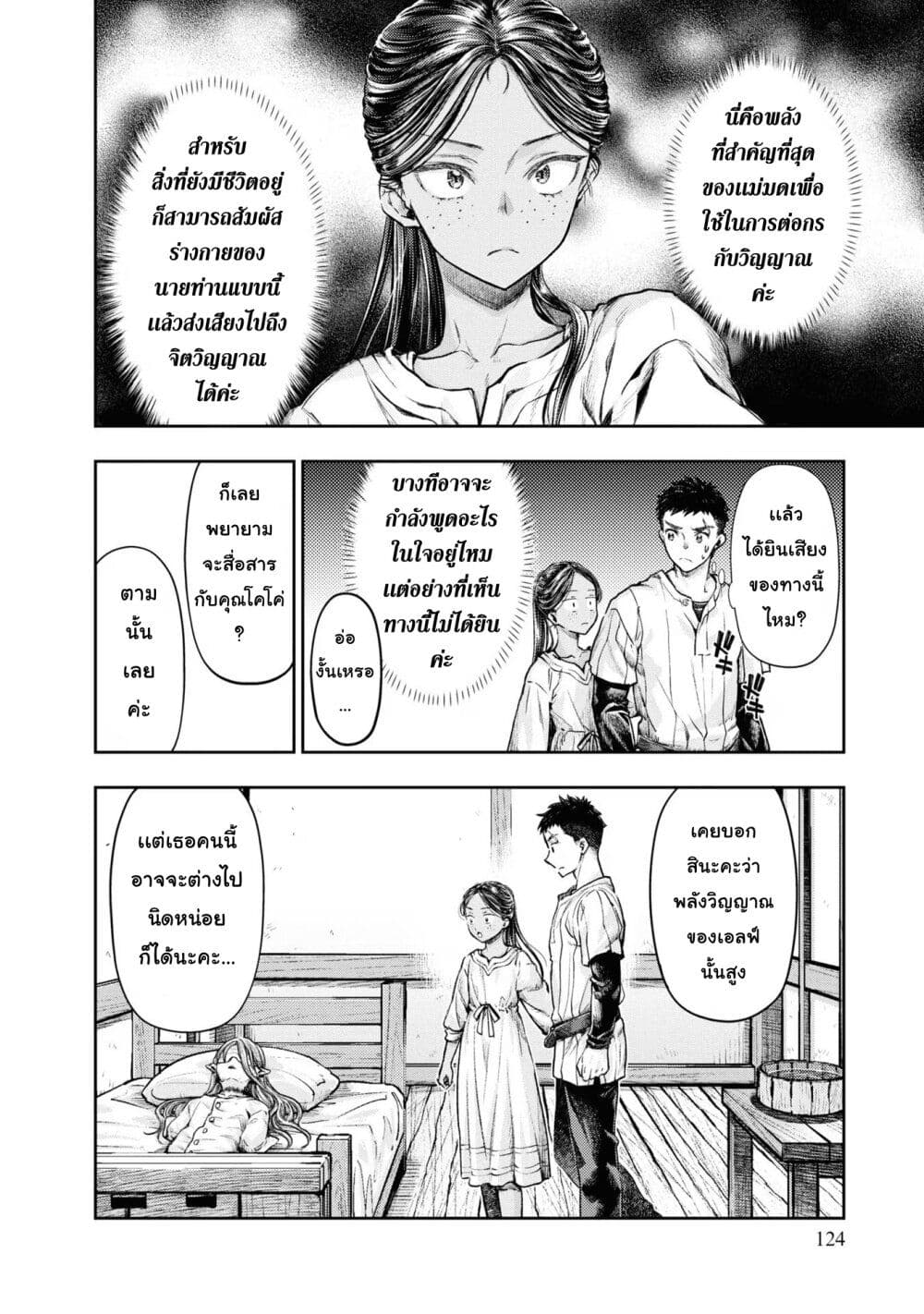 Nisemono no Renkinjutsushi 3 (12)