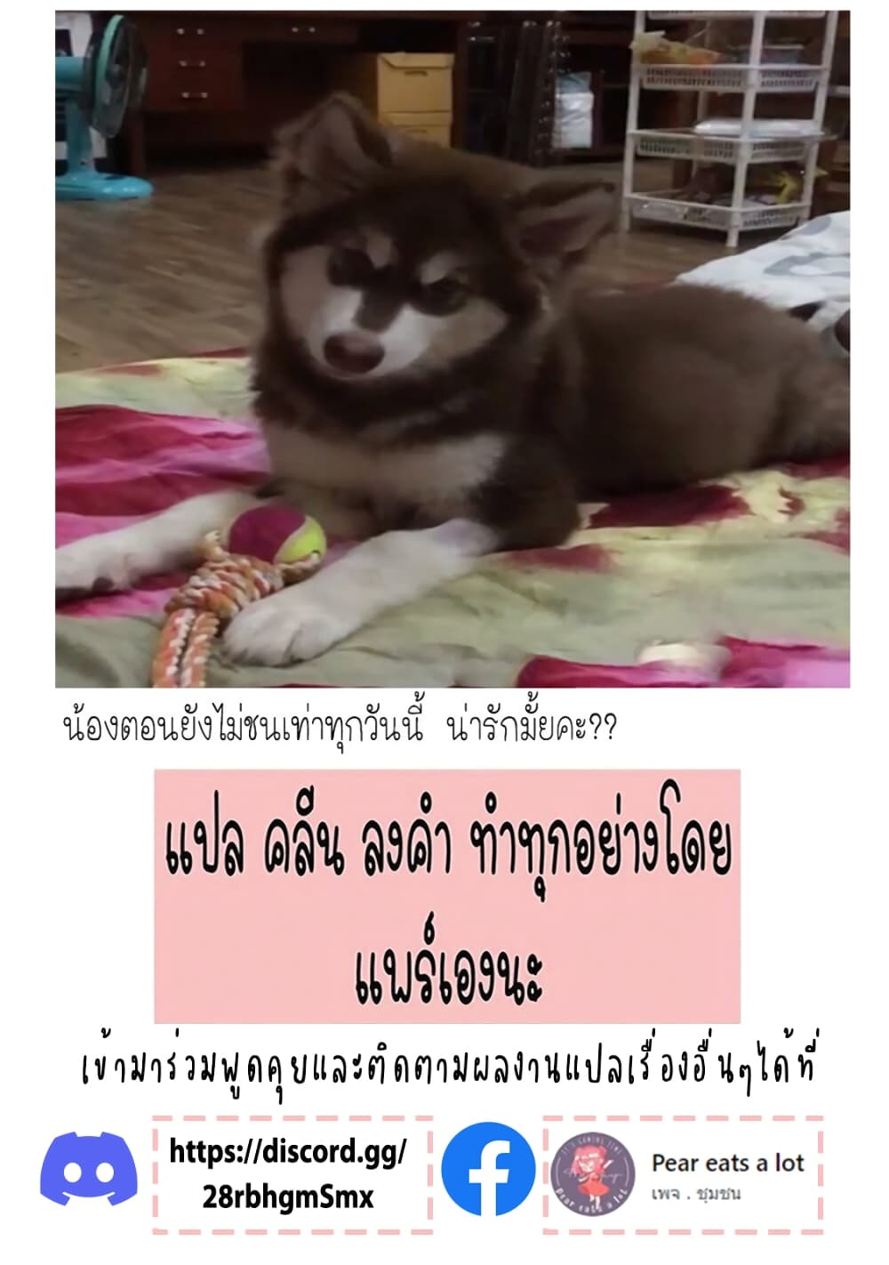 One Room Doggy ตอนที่ 2 (28)