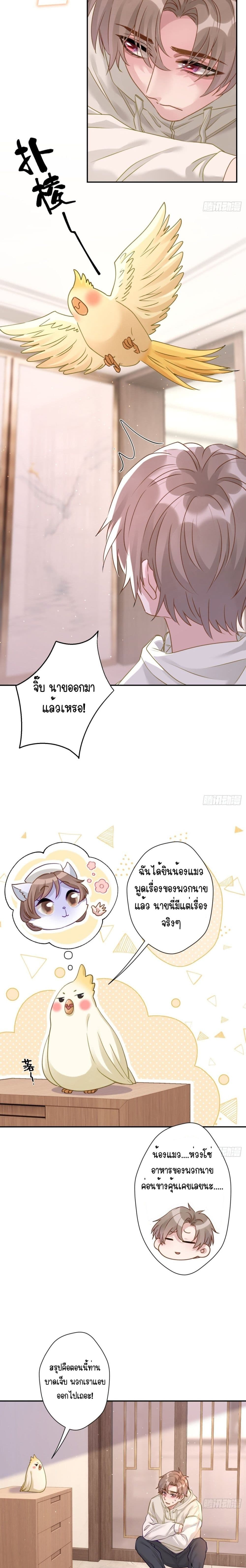 Cat Don’t Lick Me ตอนที่ 22 (7)