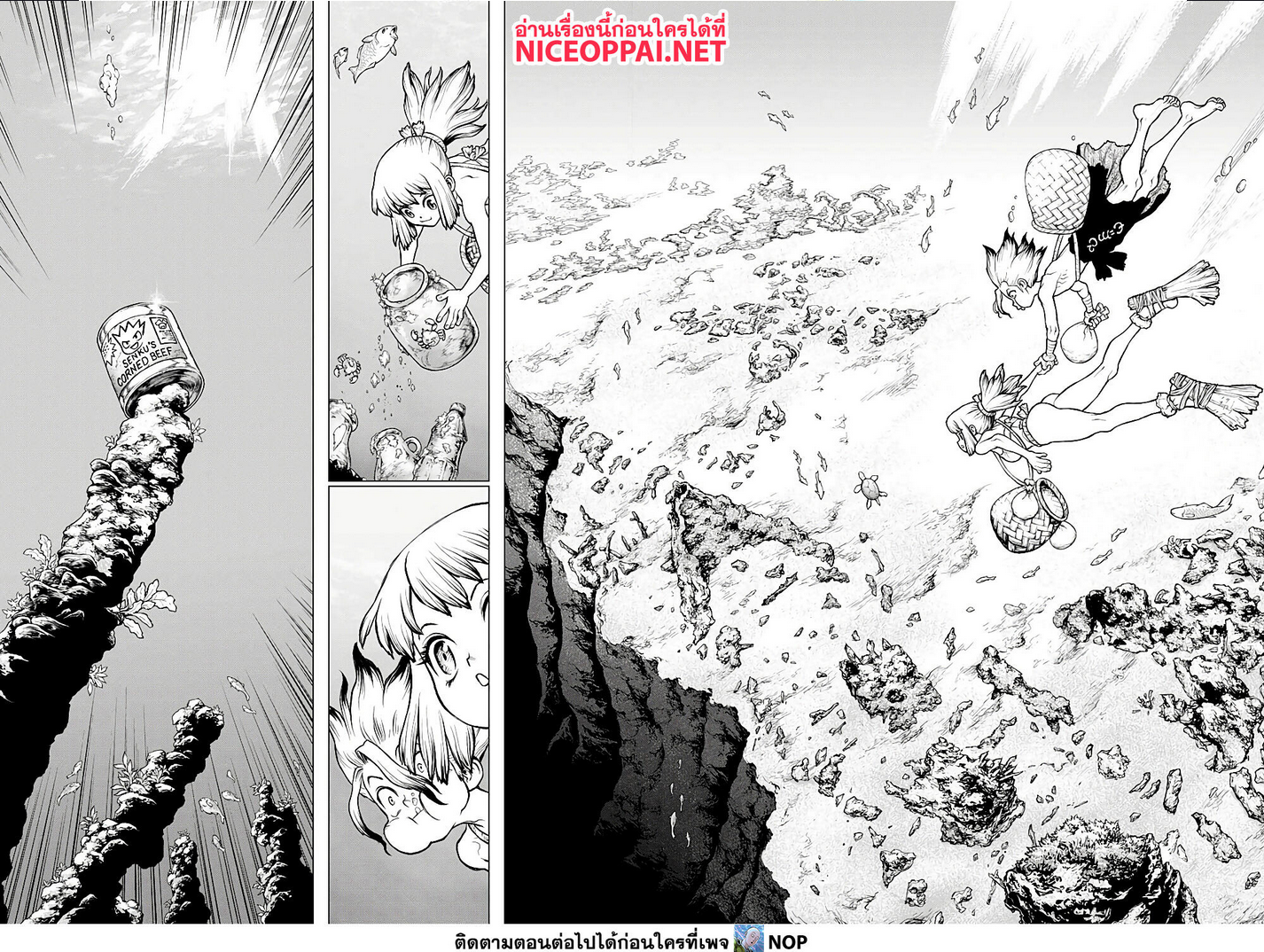 Dr.Stone 232.1 (12)