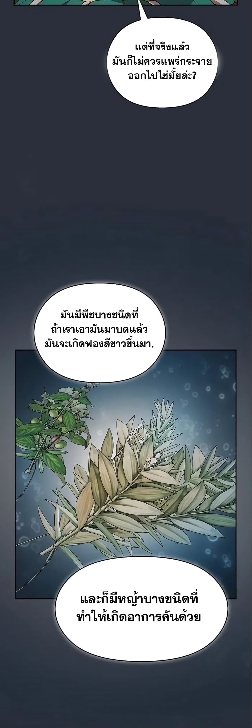 The Nebula’s Civilization ตอนที่ 17 (35)