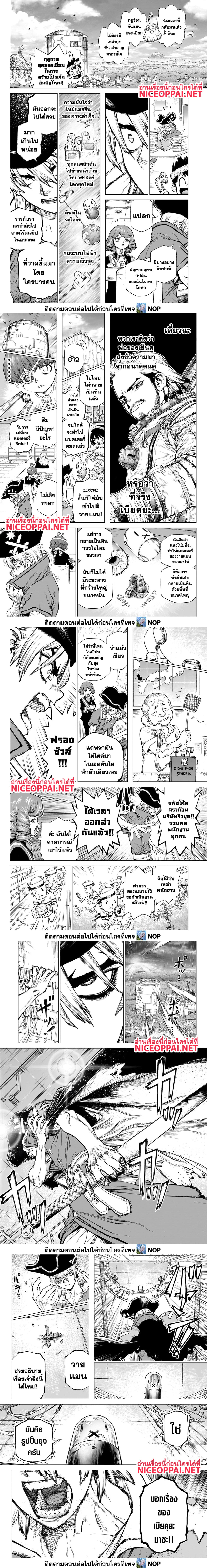 Dr.Stone ตอนที่ 234 (13)