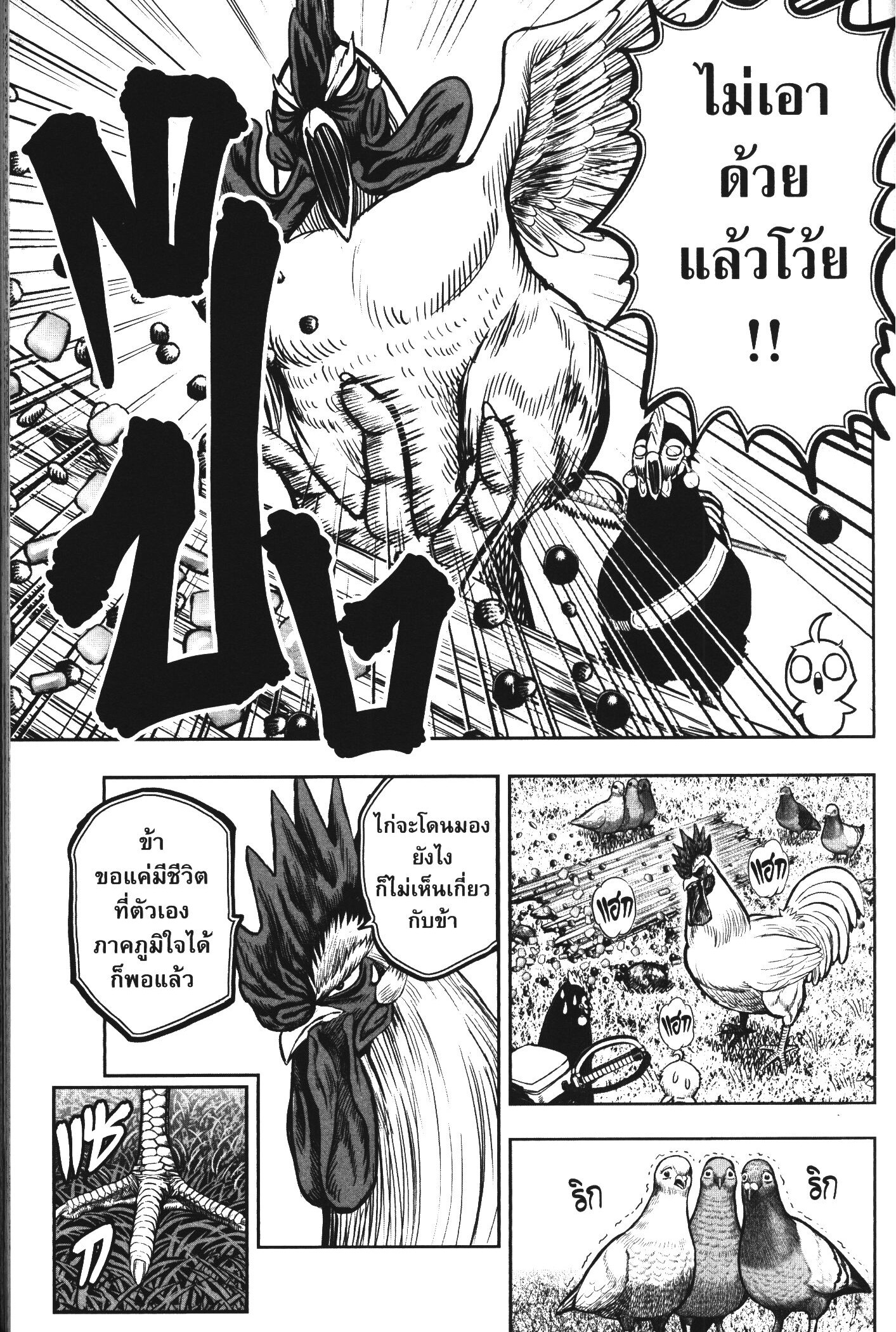 Rooster Fighter 17 (27)