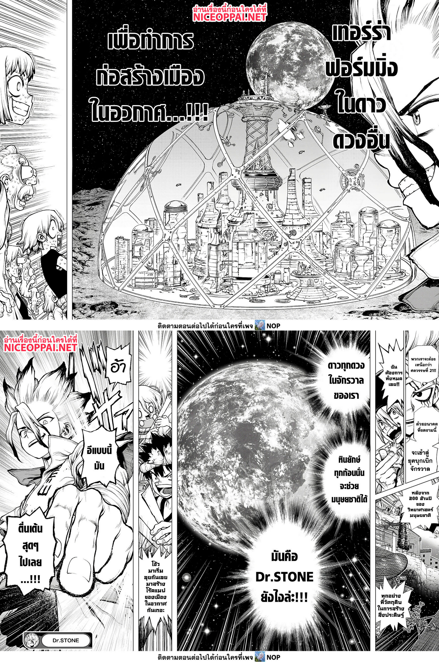 Dr.Stone 232.1 (17)