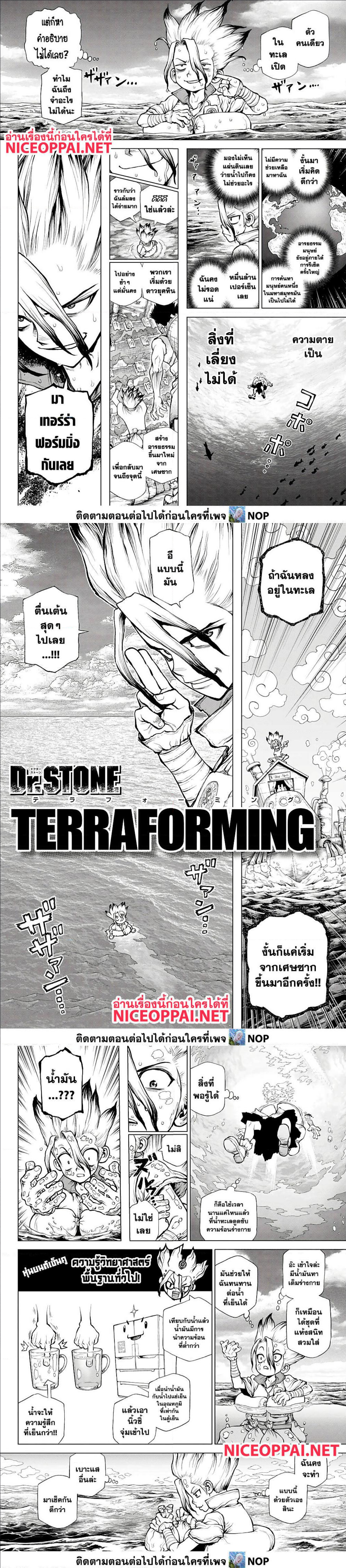 Dr.Stone 232.1 (3)